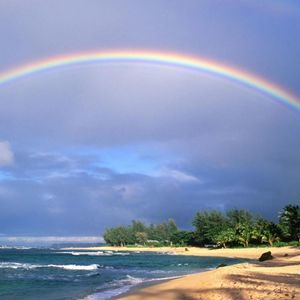 Meet your Posher, Larry